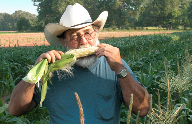 Growing Good Corn